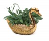 BR2831 - Brass Swan Pair, Planters